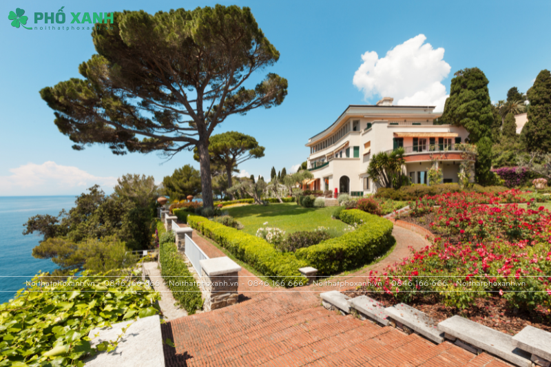 Thiết kế v&agrave; Trang tr&iacute; S&acirc;n Vườn để Tạo N&ecirc;n Kh&ocirc;ng Gian Sống Động